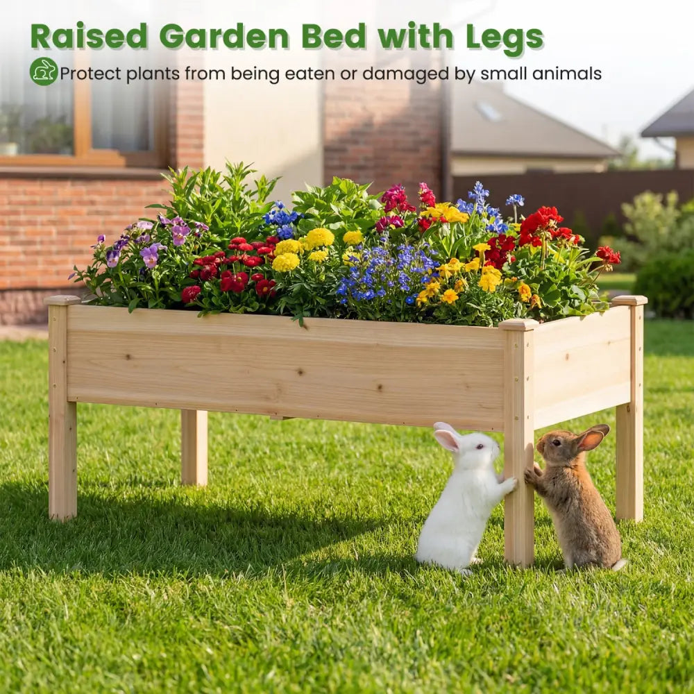 Set of 1 Wooden Raised Garden Bed with Legs Natural Fir Wood Elevated Planter Box - Natural - Raised Garden Beds