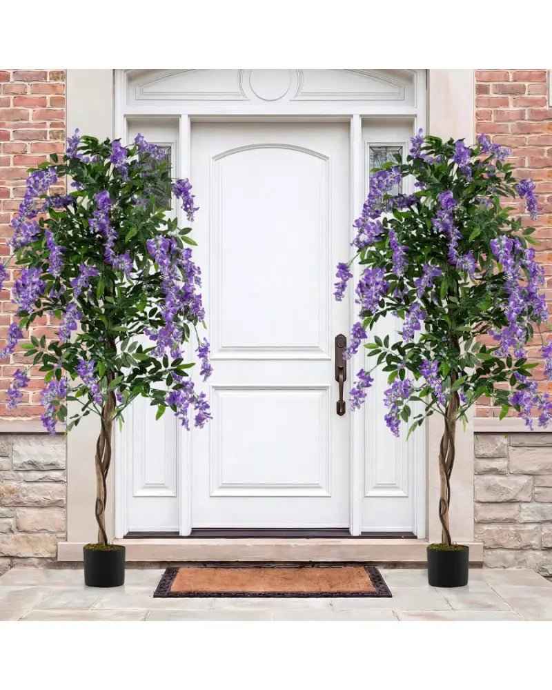 Set of 2 Fake Ficus Plant 6 FT Artificial Wisteria Tree with Natural Trunks and Purple Lifelike Flowers - Purple - Faux