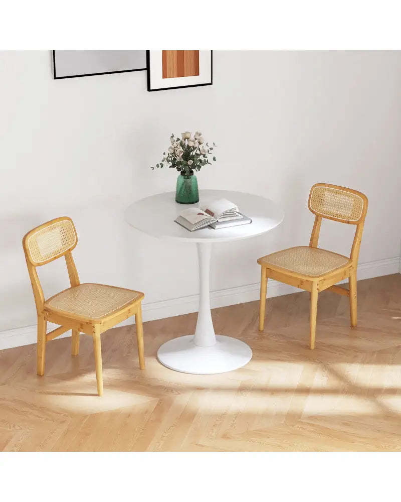 Set of 2 Rattan Dining Chairs with Simulated Rattan Backrest-Natural - Natural - Dining Chairs