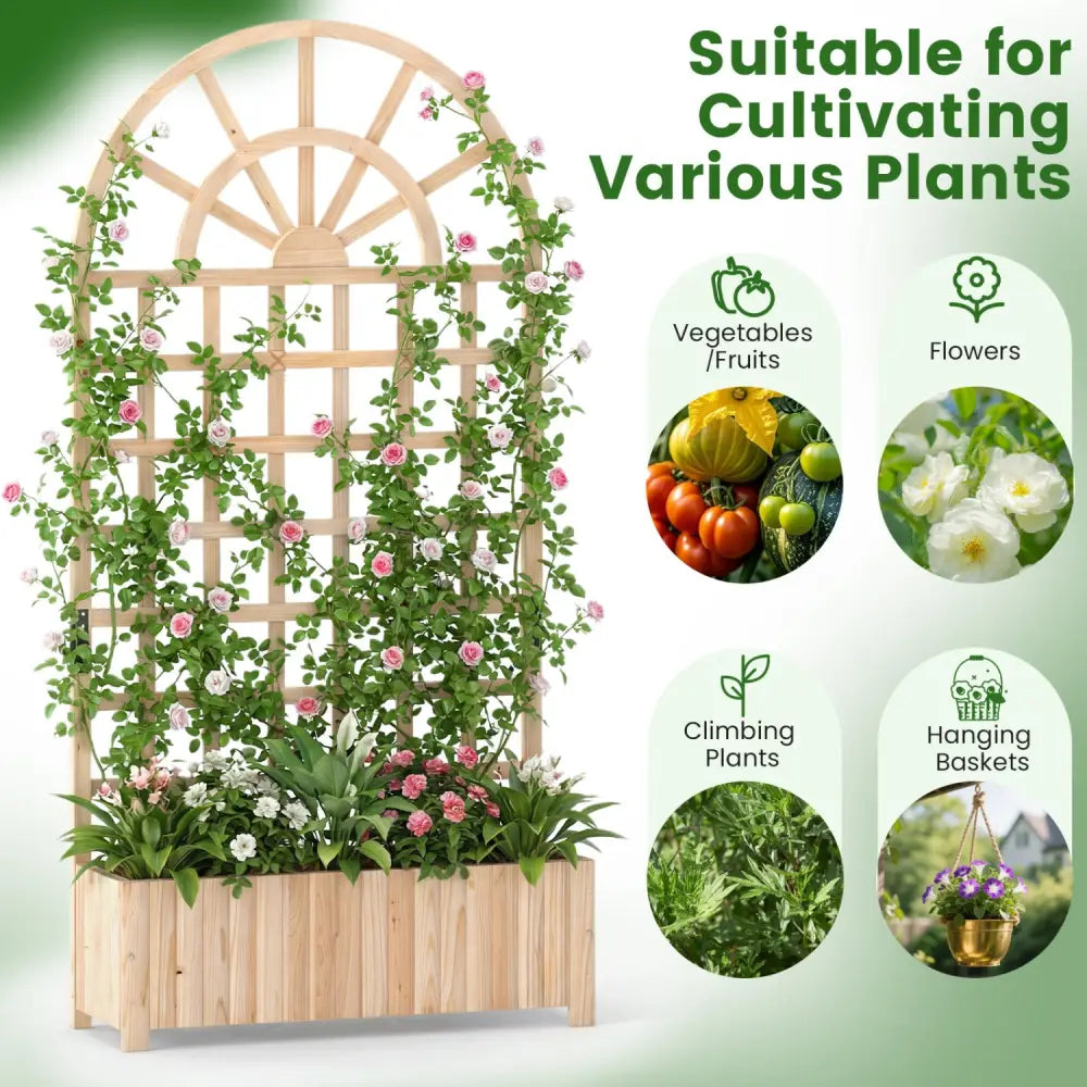Set of 2 Wooden Raised Garden Bed with Trellis 71’’ Outdoor Planter Box Privacy Screen-Natural - Natural - Raised