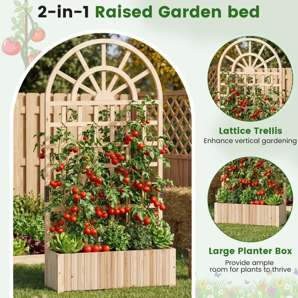 Set of 2 Wooden Raised Garden Bed with Trellis 71’’ Outdoor Planter Box Privacy Screen-Natural - Natural - Raised