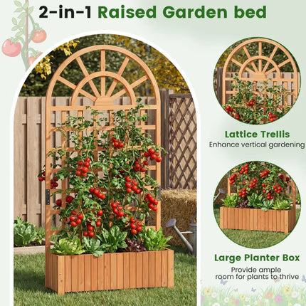 Set of 2 Wooden Raised Garden Bed with Trellis 71’’ Outdoor Planter Box Privacy Screen-Brown - Brown - Raised Garden