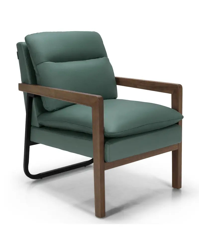 Single Sofa Chair with Extra-Thick Padded Backrest and Seat Cushion-Green - Green - Accent Chairs