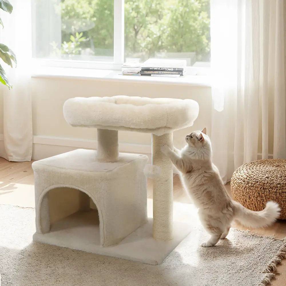 Small Cat Tree with Large Padded Plush Perch for Indoor Cats-Beige - Beige - Cat Trees Condos & Scratchers