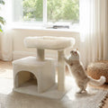 Small Cat Tree with Large Padded Plush Perch for Indoor Cats-Beige - Beige - Cat Trees Condos & Scratchers