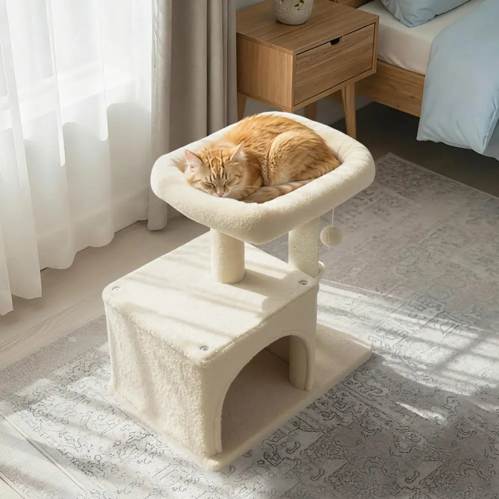 Small Cat Tree with Large Padded Plush Perch for Indoor Cats-Beige - Beige - Cat Trees Condos & Scratchers