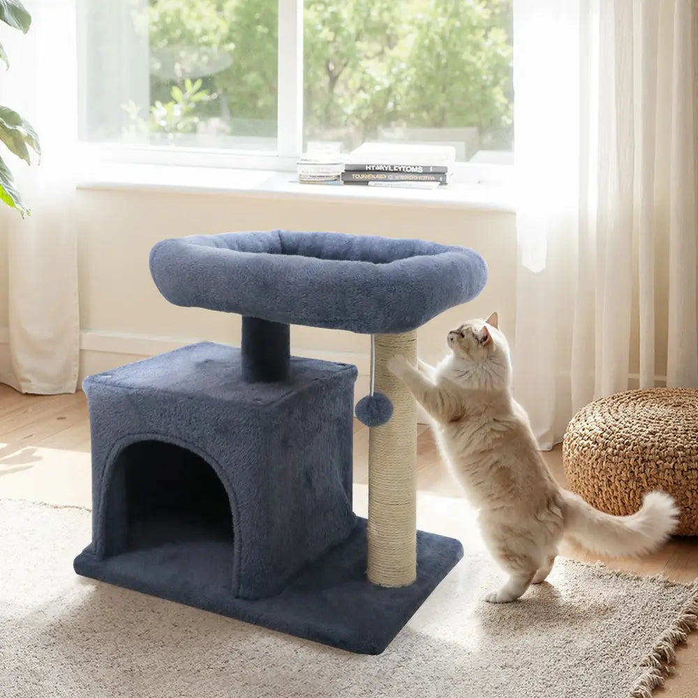 Small Cat Tree with Large Padded Plush Perch for Indoor Cats-Dark Gray - Dark Gray - Cat Trees Condos & Scratchers