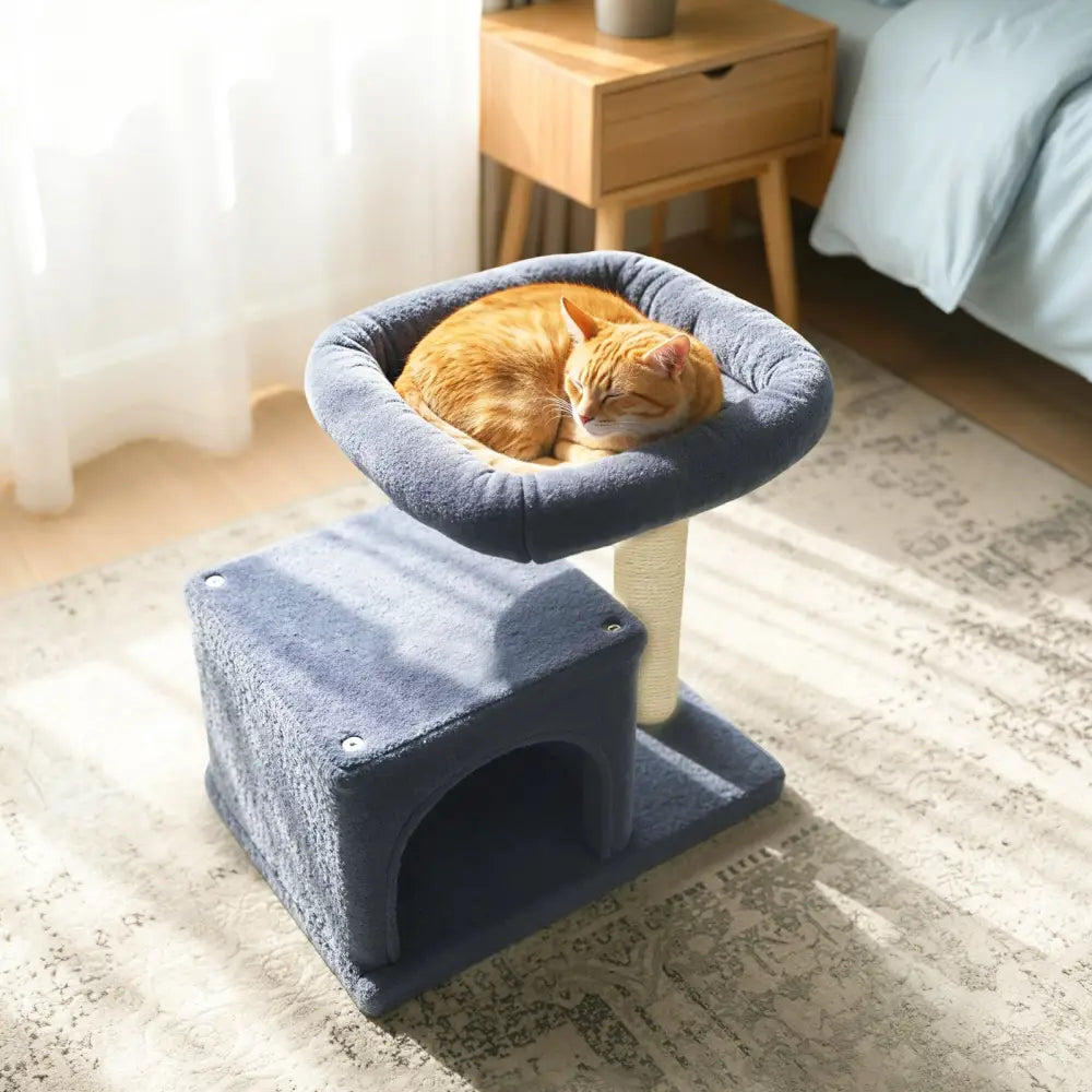 Small Cat Tree with Large Padded Plush Perch for Indoor Cats-Dark Gray - Dark Gray - Cat Trees Condos & Scratchers