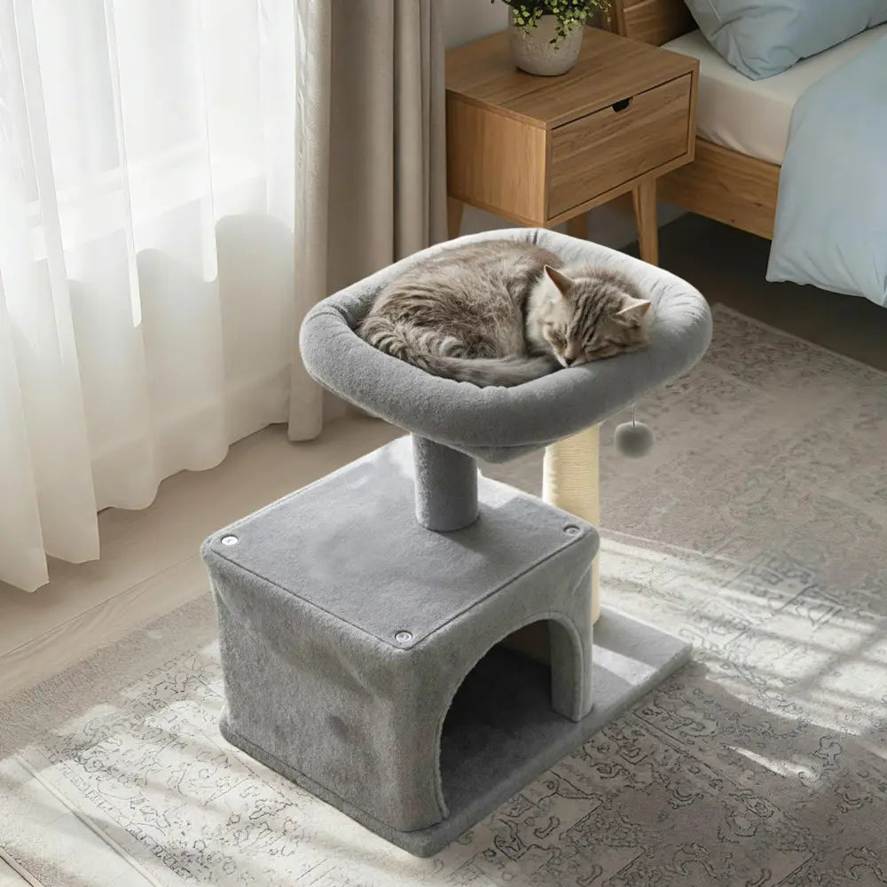 Small Cat Tree with Large Padded Plush Perch for Indoor Cats-Light Gray - Light Gray - Cat Trees Condos & Scratchers