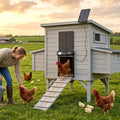 Solar Powered Automatic Chicken Coop Door - Chicken Coops