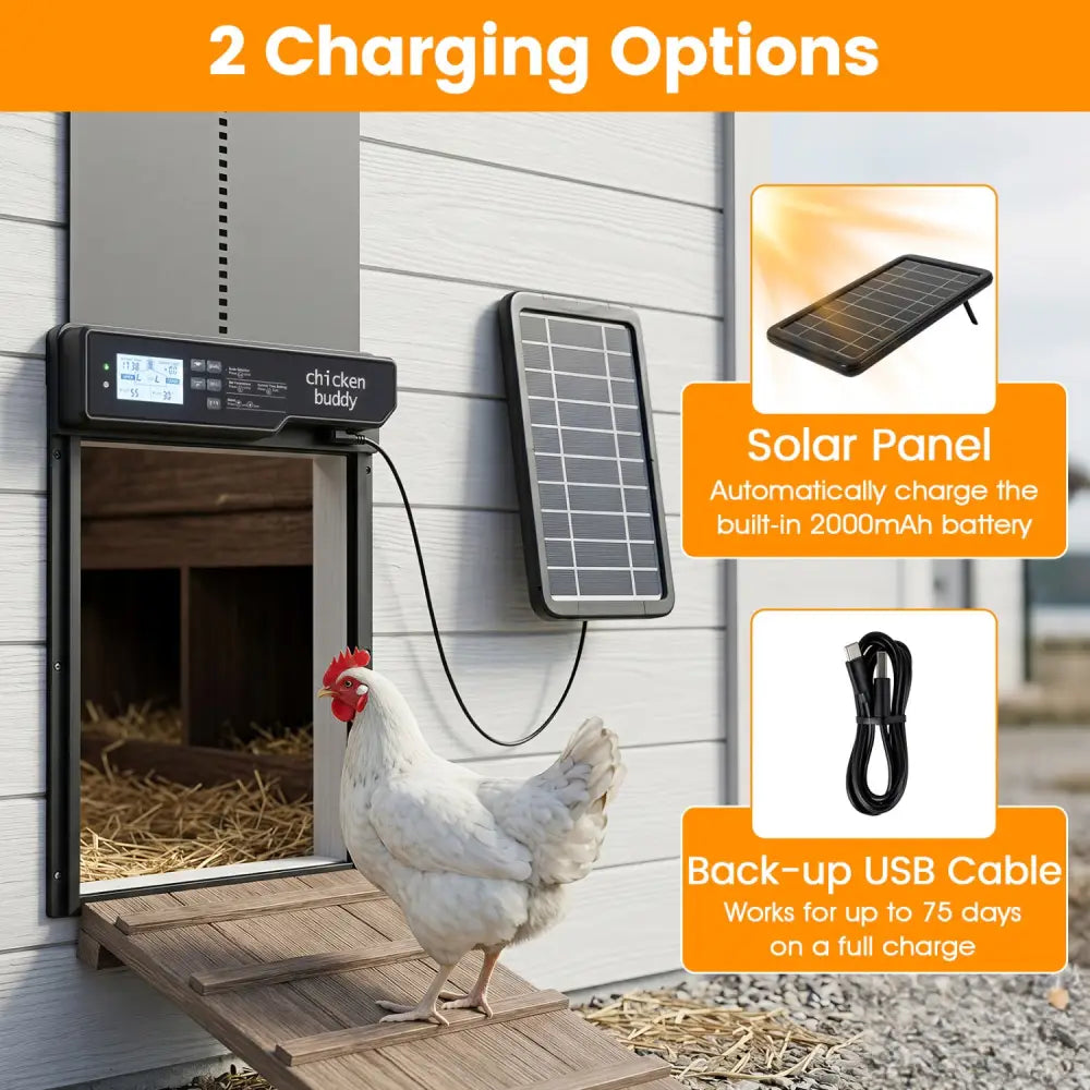 Solar Powered Automatic Chicken Coop Door - Chicken Coops