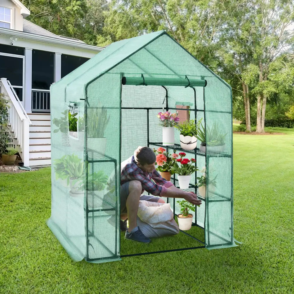 Walk-in Greenhouse 56 x 56 x 77 Inch Gardening with Observation Windows - Green - Greenhouses