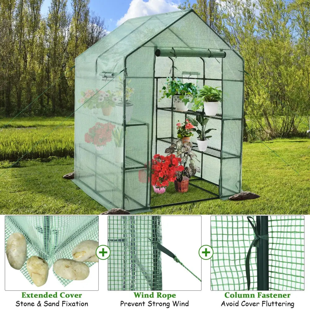 Walk-in Greenhouse 56 x 56 x 77 Inch Gardening with Observation Windows - Green - Greenhouses
