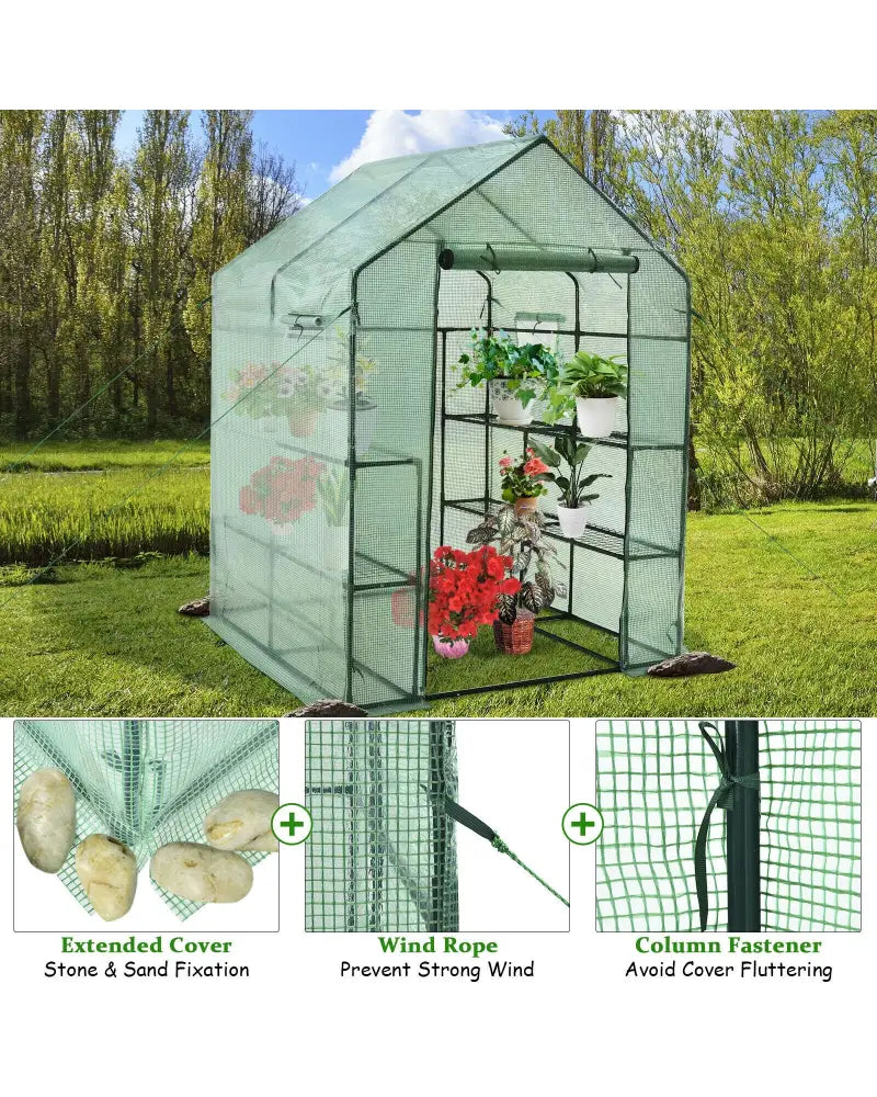 Walk-in Greenhouse 56 x 56 x 77 Inch Gardening with Observation Windows - Green - Greenhouses