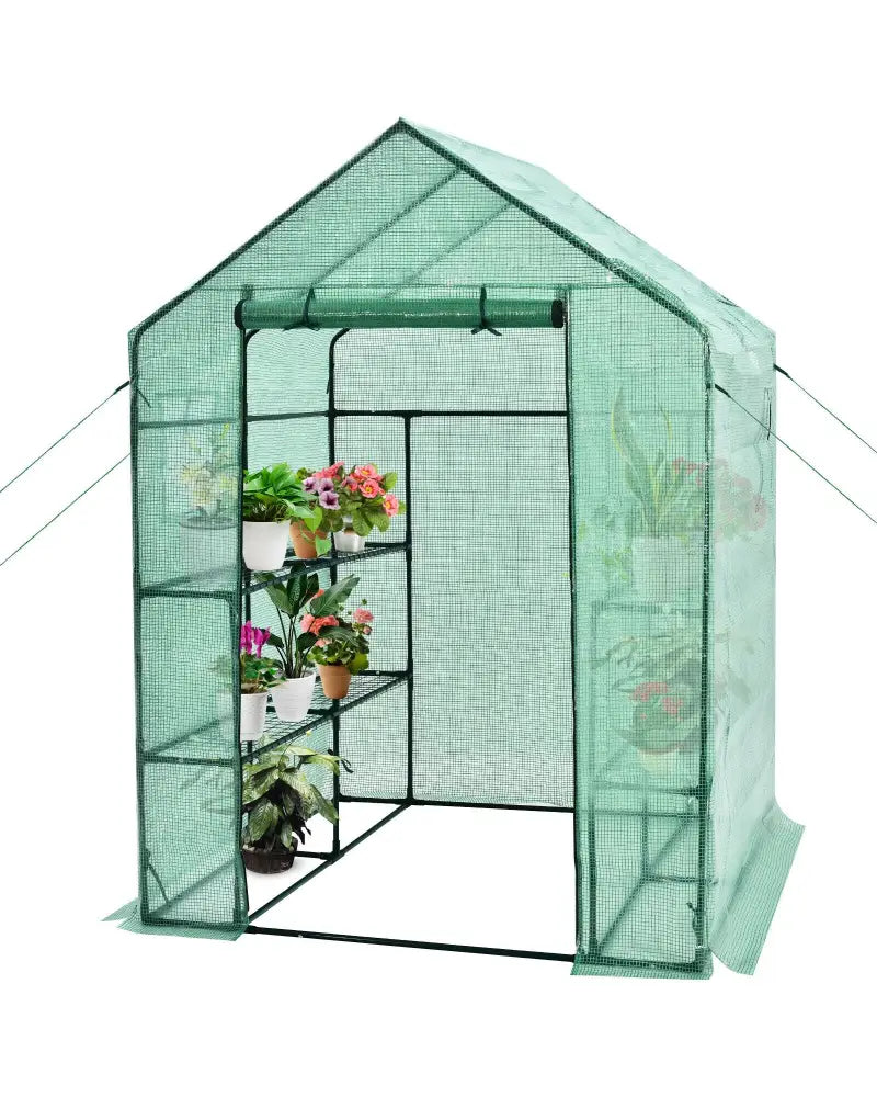 Walk-in Greenhouse 56 x 56 x 77 Inch Gardening with Observation Windows - Green - Greenhouses