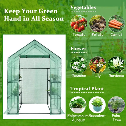 Walk-in Greenhouse 56 x 56 x 77 Inch Gardening with Observation Windows - Green - Greenhouses