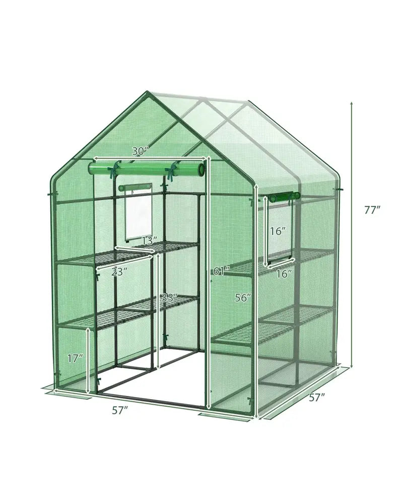 Walk-in Greenhouse 56 x 56 x 77 Inch Gardening with Observation Windows - Green - Greenhouses