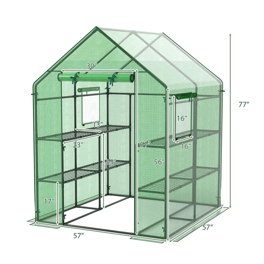 Walk-in Greenhouse 56 x 56 x 77 Inch Gardening with Observation Windows - Green - Greenhouses