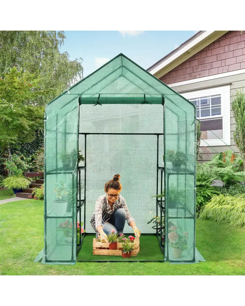 Walk-in Greenhouse 56 x 56 x 77 Inch Gardening with Observation Windows - Green - Greenhouses