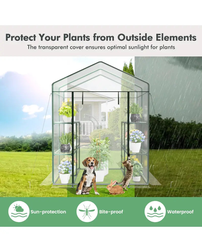 Walk-in Greenhouse with 3 Tiers 8 Shelves PVC Cover Roll-up Zippered Door - Transparent - Greenhouses