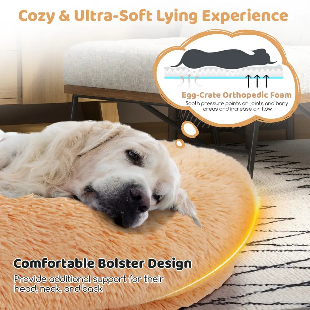 Washable Fluffy Human Dog Bed with Soft Blanket and Plump Pillow-Brown - Brown - Dog Supplies
