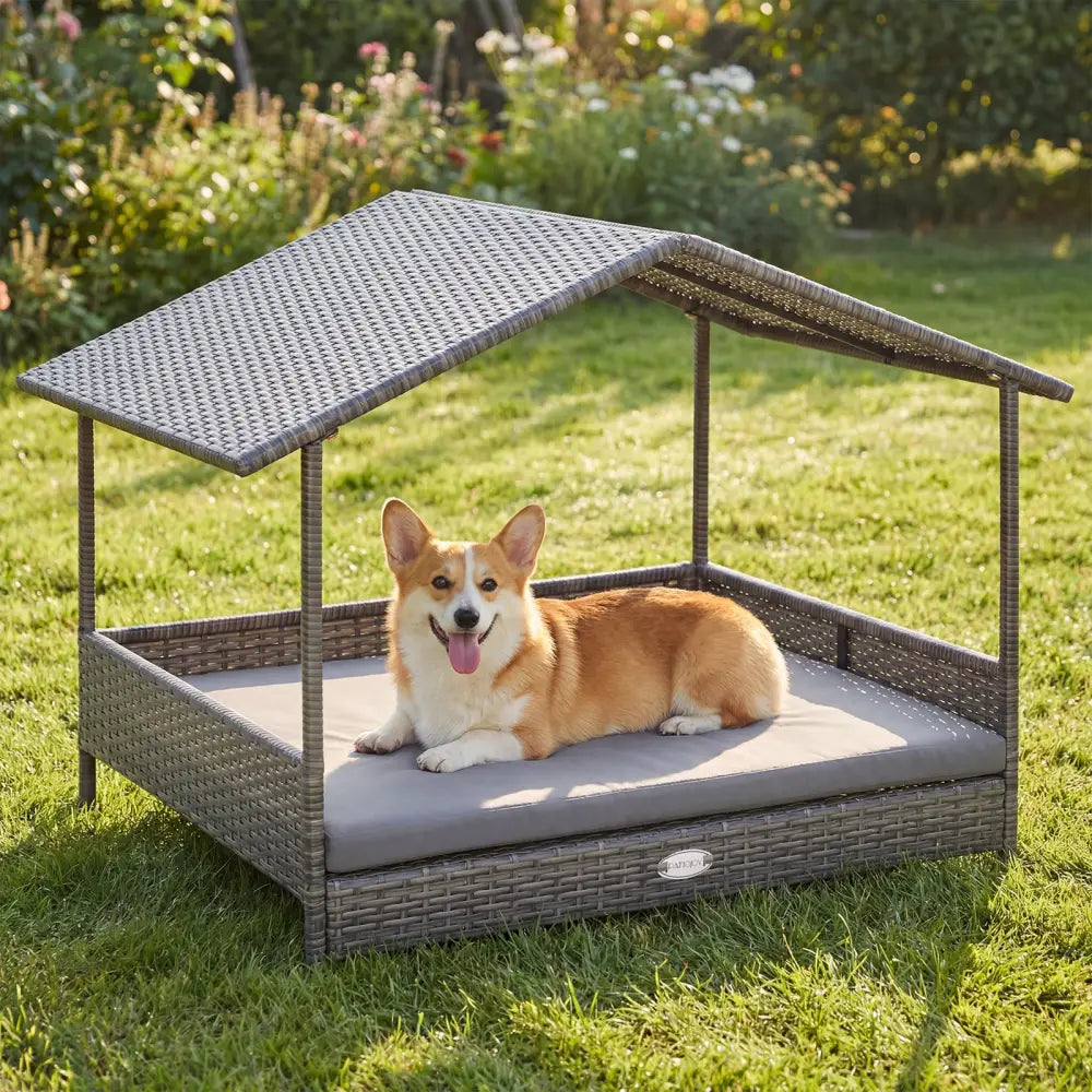 Wicker Dog House Elevated PE Rattan Dog Bed with Canopy-Gray - Gray - Dog Kennels