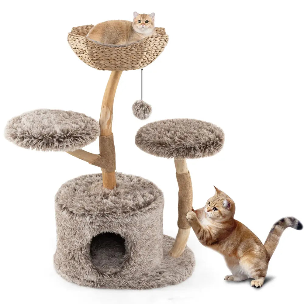 Wood Cat Tree Solid Pear Cat Tree with Perch and Sisal Scratching Posts-Brown - Brown - Cat Trees Condos & Scratchers