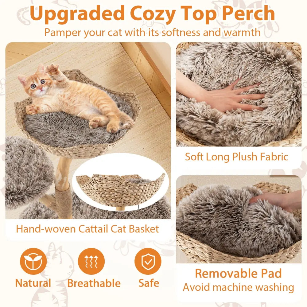 Wood Cat Tree Solid Pear Cat Tree with Perch and Sisal Scratching Posts-Brown - Brown - Cat Trees Condos & Scratchers