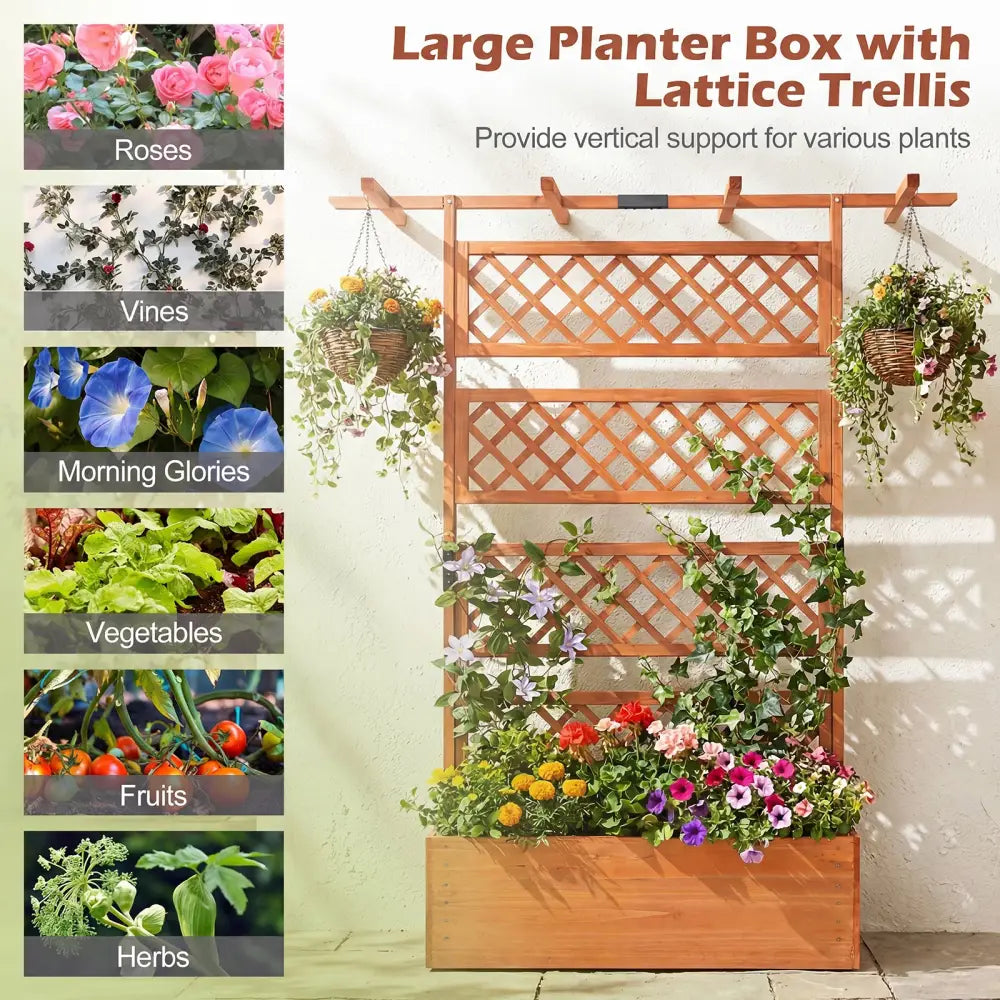 Wooden Planter Box with Lattice Trellis Raised Garden Bed Privacy Screen with Flat Roof-Orange - Orange - Raised Garden