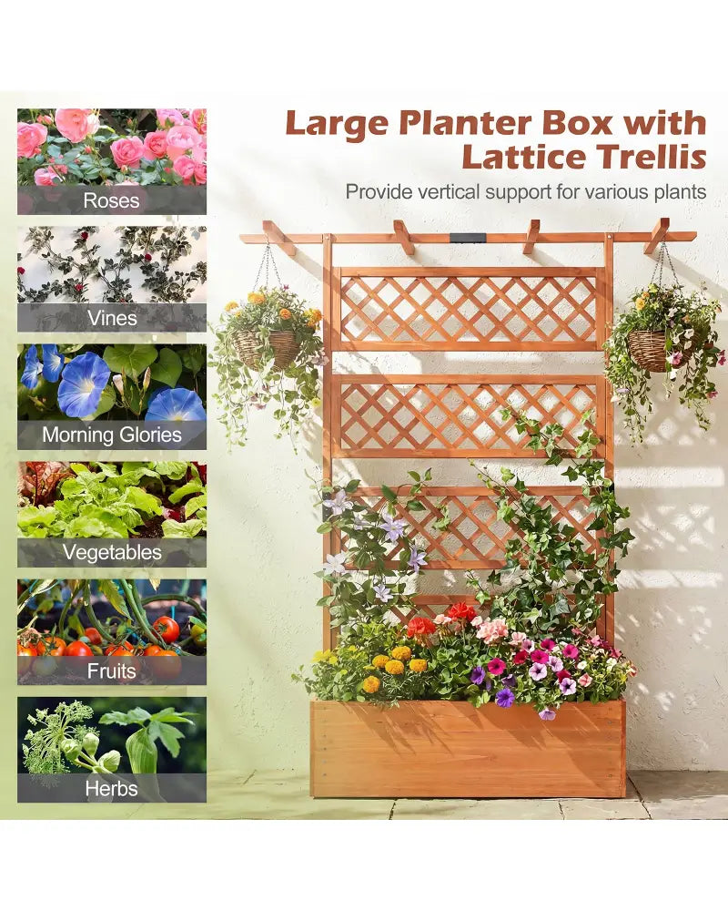 Wooden Planter Box with Lattice Trellis Raised Garden Bed Privacy Screen with Flat Roof-Orange - Orange - Raised Garden