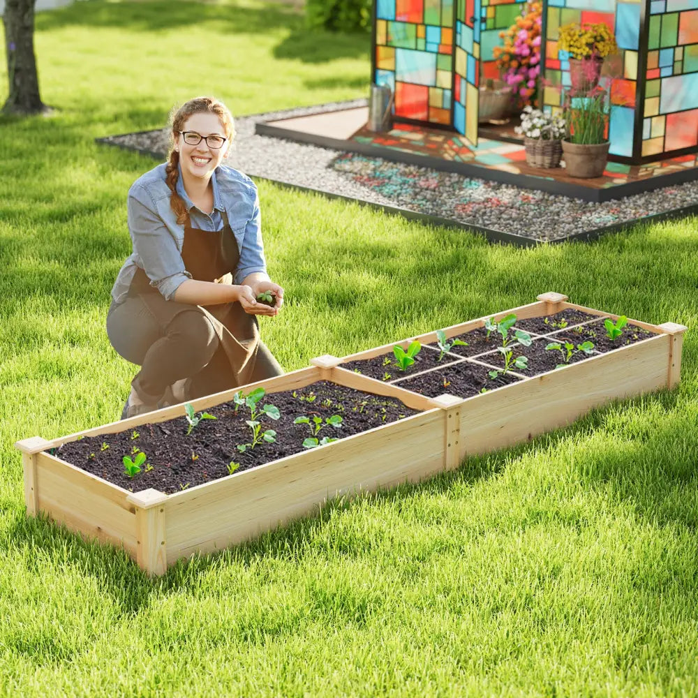 Wooden Raised Garden Bed with 2 Planter Boxes and Dividers-Natural - Natural - Raised Garden Beds