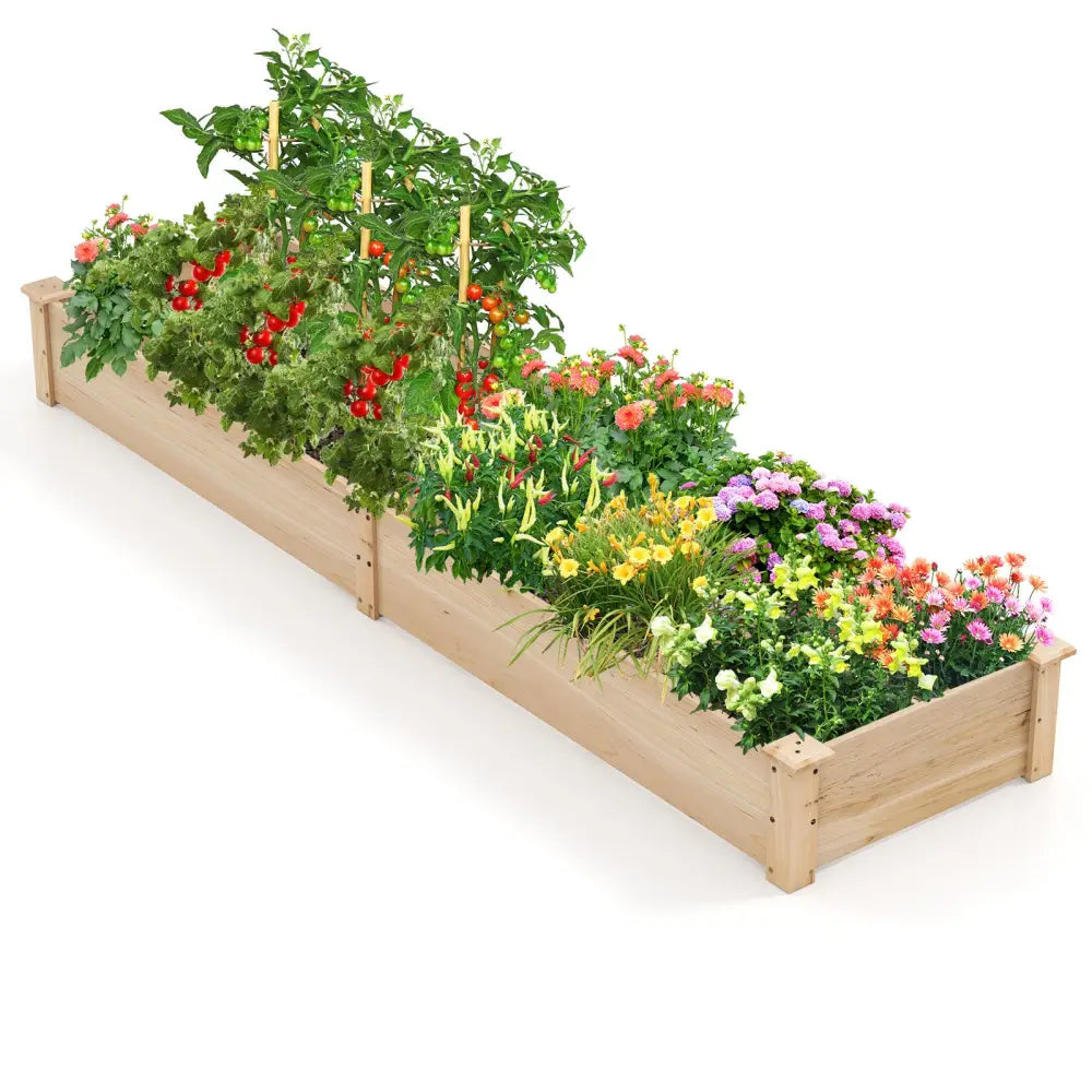 Wooden Raised Garden Bed with 2 Planter Boxes and Dividers-Natural - Natural - Raised Garden Beds